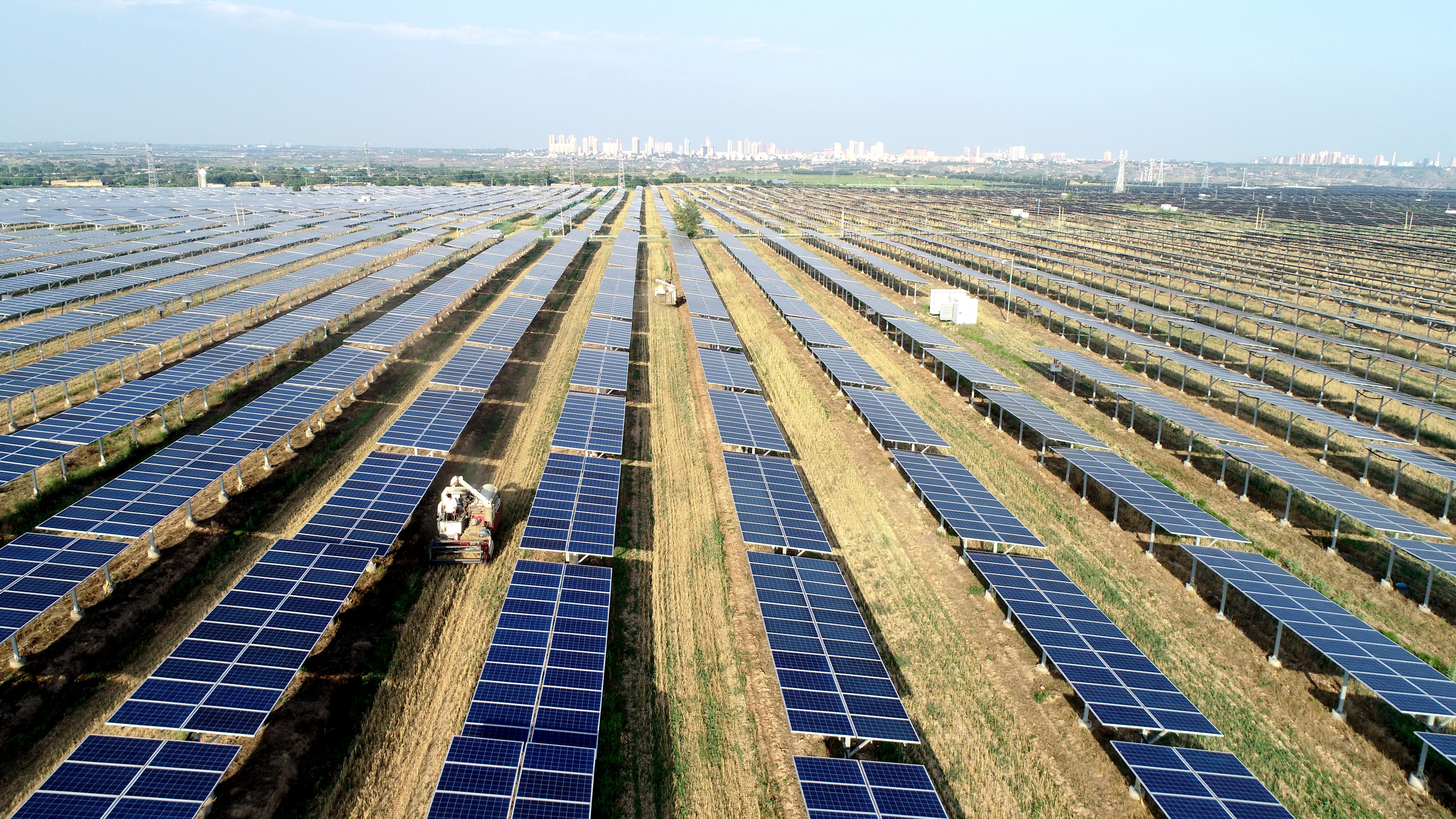 2.大唐澄城安里10萬千瓦農光互補光伏電站采取“農光互補”模式，不僅大大提高土地綜合利用率，還帶動當地村民在家門口就業，促進農民增收。任永紅攝 .jpg