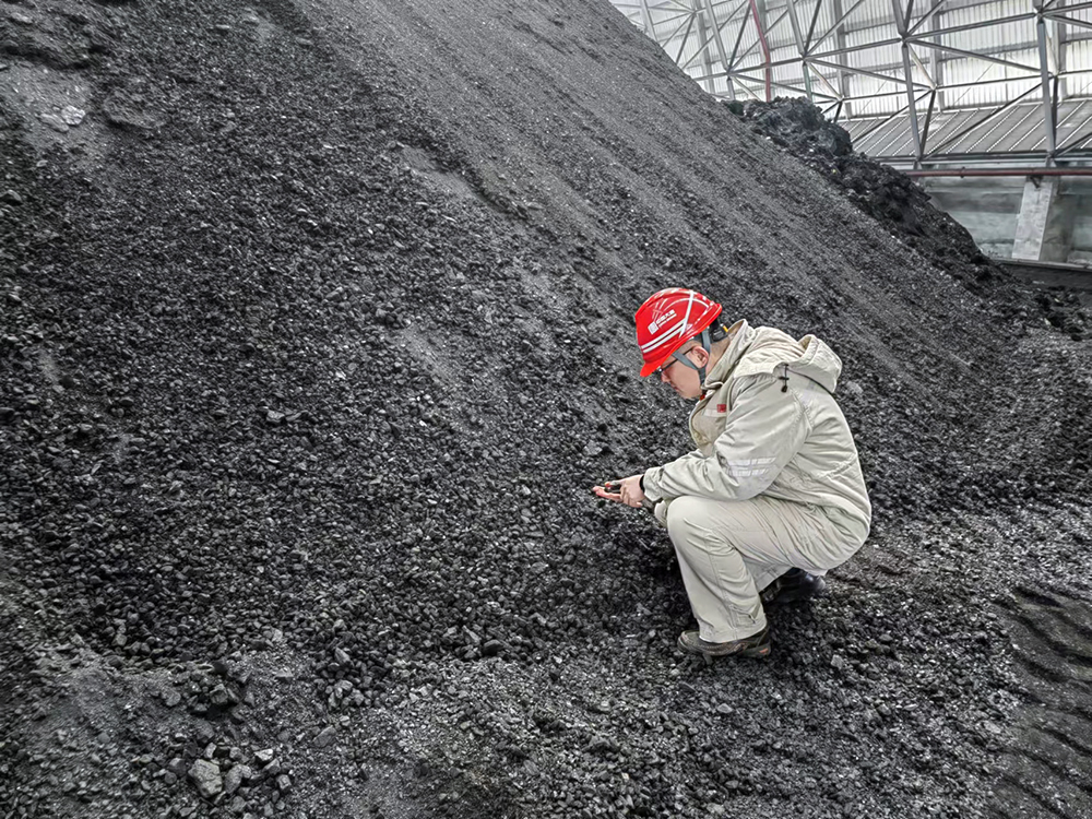 3-大唐東營發電公司職工查看煤炭煤質情況a.jpg
