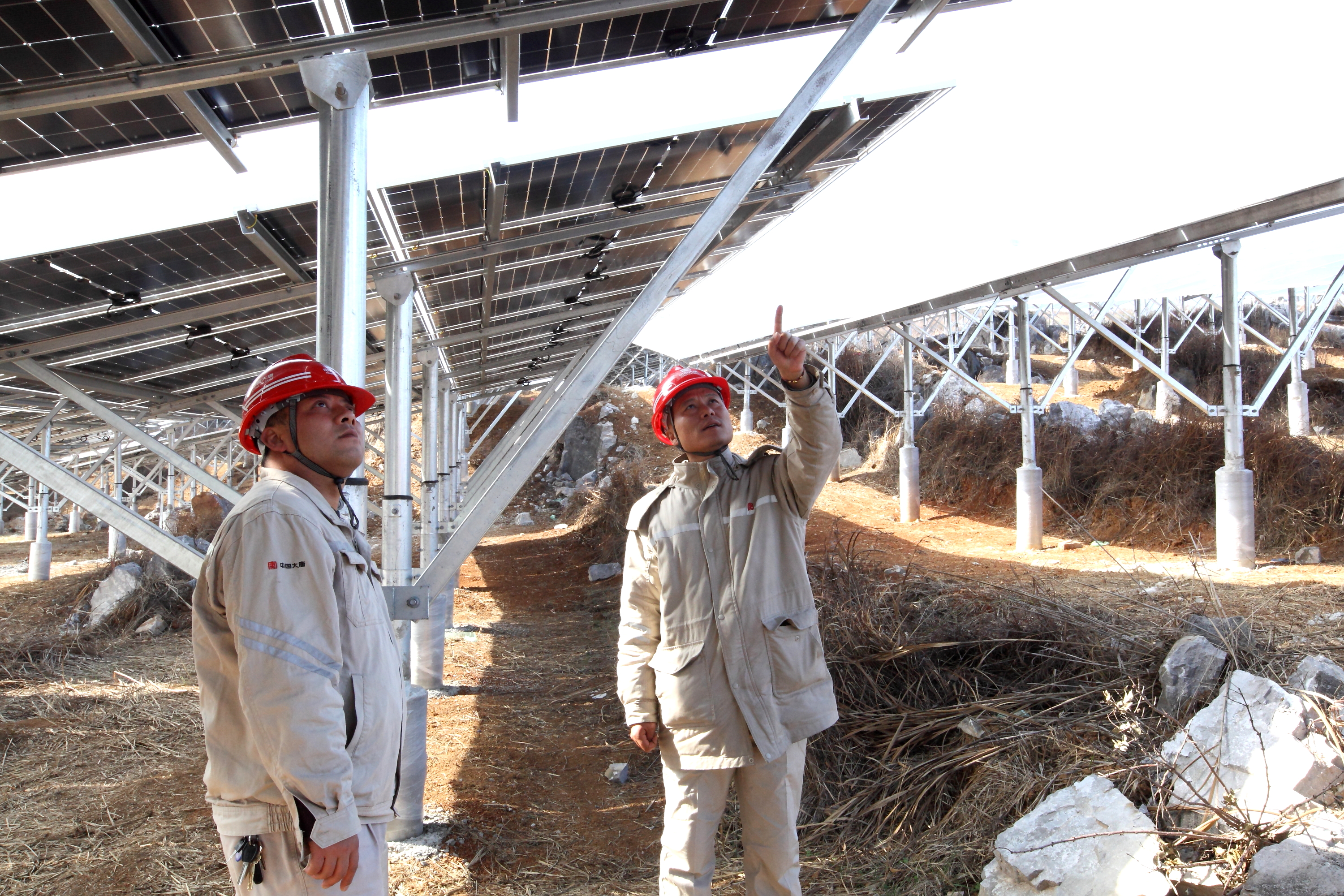 1718763122622075527.jpg 3.jpg